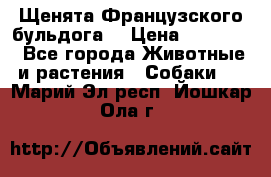 Щенята Французского бульдога. › Цена ­ 45 000 - Все города Животные и растения » Собаки   . Марий Эл респ.,Йошкар-Ола г.